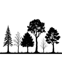 Diverse Collection of Trees: Pine, Oak, Willow, Birch Illustrations for Environment and Nature Themes