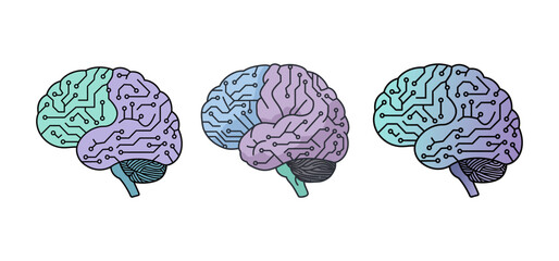 Stylized Human Brains with Electronic Circuit Patterns: Three Colorful Brain Illustrations in Green, Purple, Blue Highlighting Functional Connectivity on White Background