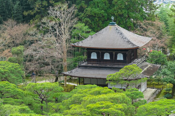 Iconic Silver Pavilion at Ginkaku-ji Temple rises above a sea of vibrant green pine trees in its...