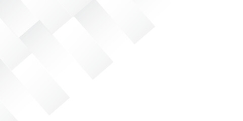Fototapeta premium Clean and Modern Abstract Gray and White Vector Background for Web Banners, Print Design, and Digital Content 