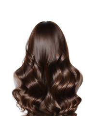 Beautiful long brown hair minimalist back view hair care isolated on transparent background