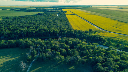 Aerial photo of a dense forest next to vast green and yellow agricultural fields at sunset. Stunning rural landscape. © An.Po