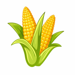 Obraz premium corn isolated on white background