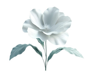 Fototapeta premium Delicate white flower nature digital simple elegance isolated on transparent background