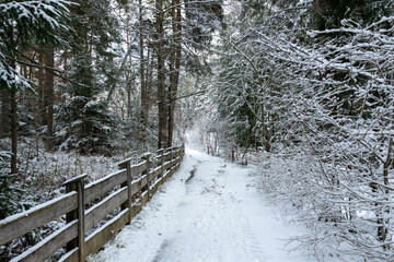 A snow covered path in the woods with a wooden fence