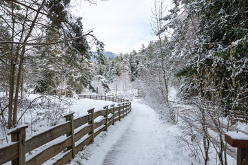 A snow covered path with a wooden fence