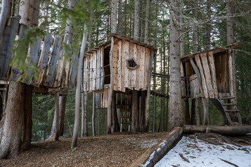A group of tree houses are built in a forest