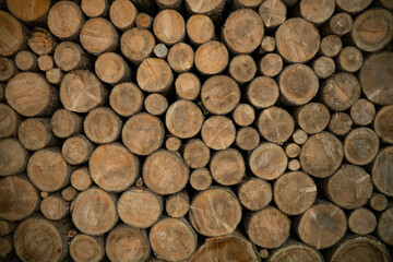 A large pile of wood logs, with some of them being cut in half