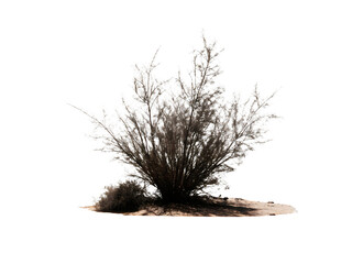tumbleweed isolated on white background PNG , AI GENERATED