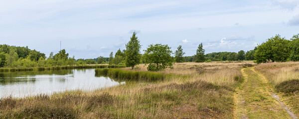 Landscape of nature reserve Hijkerveld with heathland, natural pond and path near Hijken en Laaghalen in municipality Midden-Drenthe in Drenthe The Netherlands
