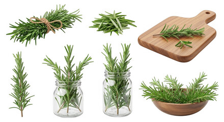 Fresh Rosemary Sprigs and Leaves on a Wooden Cutting Board and in Jars for Culinary Use, isolated on a transparent background
