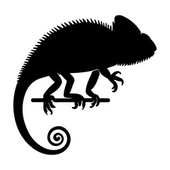 Chameleon Silhouette Vector – Exotic Lizard Sitting on Branch © MstSonia
