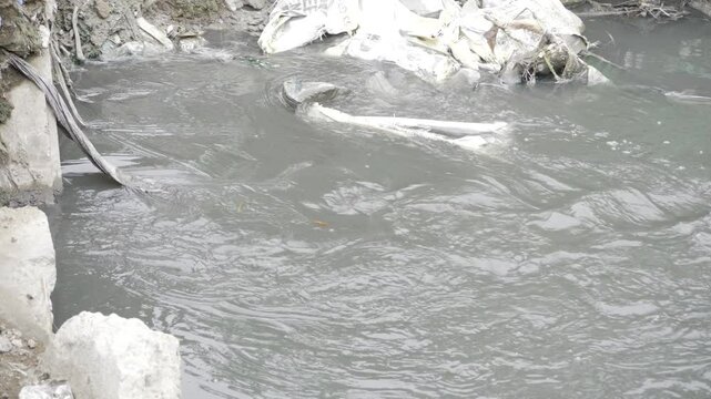 Unveiling the Tragedy - A Journey into the Horrors of Wastewater Pollution