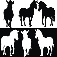 zebraes collection isolated on white and black backgroundsix zebraes collection isolated on white background