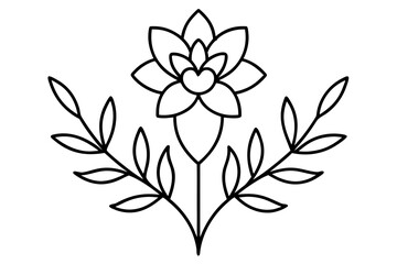 Minimal Floral Line Art | Transparent Vector | Botanical Outline Ornament