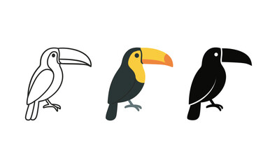 Fototapeta premium Three toucan illustrations: outline, colorful, and silhouette variations on white background