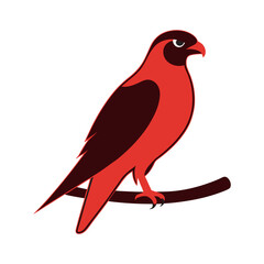 Tree Branch Holding Perched Falcon