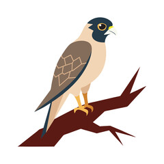 Bird Resting On Fallen Tree Branch