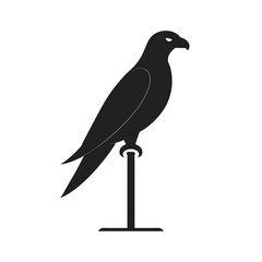 Falcon Standing On Tall Wooden Pole