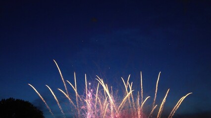 Fireworks exploding in the dark blue night sky