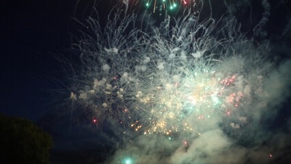 Colorful fireworks exploding in the night sky during a celebration