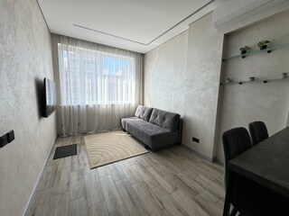 Modern Living Room with Gray Sofa and Wall-Mounted TV