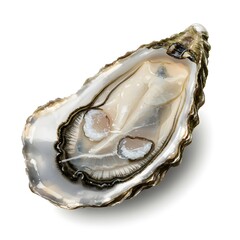 An open oyster reveals its succulent and tender meat. A culinary delight. Capture the essence of this seafood delicacy.