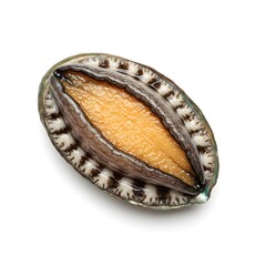 A close-up studio shot of an Abalone, exhibiting the shell's beauty. the image focuses on intricate textures and vivid colors, showcasing the natural beauty of marine life. 