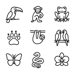 Rainforest Wildlife Icons. Outline icon set of rainforest wildlife encounters: toucan, monkey, tree frog, jaguar paw, sloth,