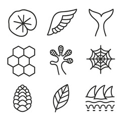 Obraz premium Biomimicry Icon Set. Outline icon set of biomimicry innovation: lotus leaf, bird wing, whale fin, honeycomb, gecko foot, pinecone,