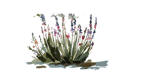 bush of flowers on white background. Bush tree flower of bougainvillea on isolated transparent background	