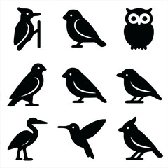Obraz premium Forest Bird Icons. Solid, filled icon set of forest birds: woodpecker, sparrow, owl, hawk, finch, warbler, heron, hummingbird, jay