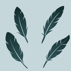 Obraz premium Silhouette of a feather collection