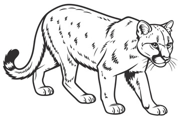 Contemplative Cougar Illustration Poised in a Dynamic Stance Ready to Pounce with Focused Eyes