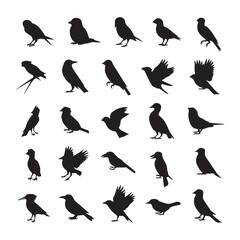 Obraz premium Collection of diverse bird silhouettes in various poses and species