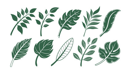 Modern vector illustration featuring a grid of various green leaf icons, Set of green leaf icons. Leaves of trees and plants, Elements design for natural, eco, bio, vegan labels, easily editable