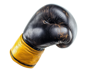 Boxing action gloves sports arena dynamic view fitness isolated on transparent background