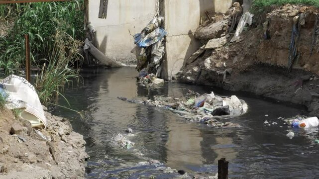 Foamy Wastes - A Visual Journey into the Horrors of Water Pollution