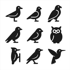 Naklejka premium Urban Bird Icons. Solid, filled icons set of urban bird species: seagull, pigeon, hawk, crow, sparrow, owl,