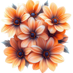 Vibrant orange flowers arrangement nature digital bright atmosphere isolated on transparent background
