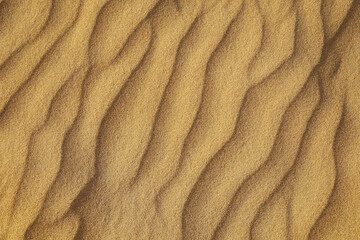 Wave of sand in the Al Khatim. Abu Dhabi, United Arab Emirates. Beige desert texture. Beautiful structure of sandy dunes. Abstract golden nature background. Top view