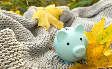 Piggy bank sitting on a fall leaf background, savings