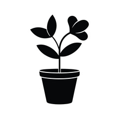 silhouette of a potted flower with three petals and leaves on white background