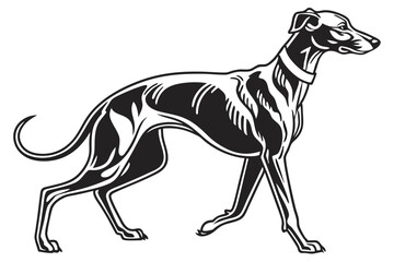 Elegant Greyhound Illustration Black and White Silhouette Capturing Graceful Movement of a Noble Breed Perfect for Art and Design