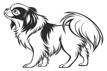 Elegant Pekingese Dog with Luxurious Fur Contours and Captivating Eyes Looking Upwards with an Endearing Expression of Curiosity