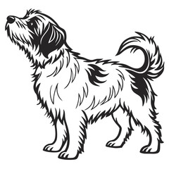 Elegant and Regal Tibetan Terrier Line Art Depiction of a Proud and Joyful Canine Companion in Black and White