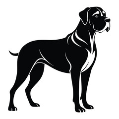Fototapeta premium Elegant and Strong Cane Corso Dog Silhouette Illustration of a noble breed for animal lovers and design enthusiasts alike