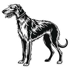 Majestic Irish Wolfhound Illustration A Striking Black and White Depiction of Breed Elegance and Strength A Timeless Dog Portrait