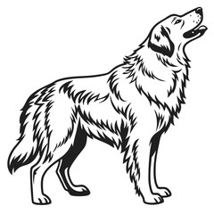 Majestic Canine Silhouette A Striking Black and White Depiction of a Noble Dog with an Upward Gaze