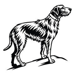 Monochrome Illustration of an Irish Wolfhound Standing Proudly An Elegant Canine Portrayal in Striking Black and White